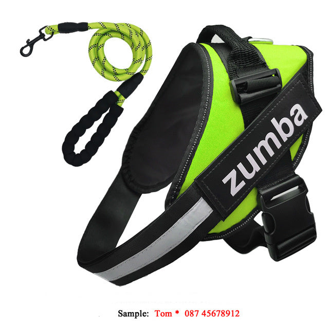Personalized Breathable Dog Harness & Leash Combo