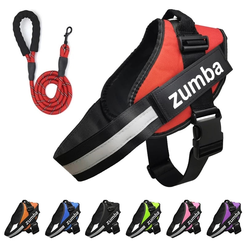 Personalized Breathable Dog Harness & Leash Combo
