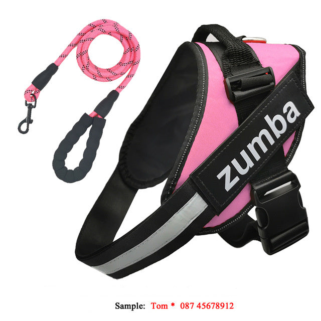 Personalized Breathable Dog Harness & Leash Combo