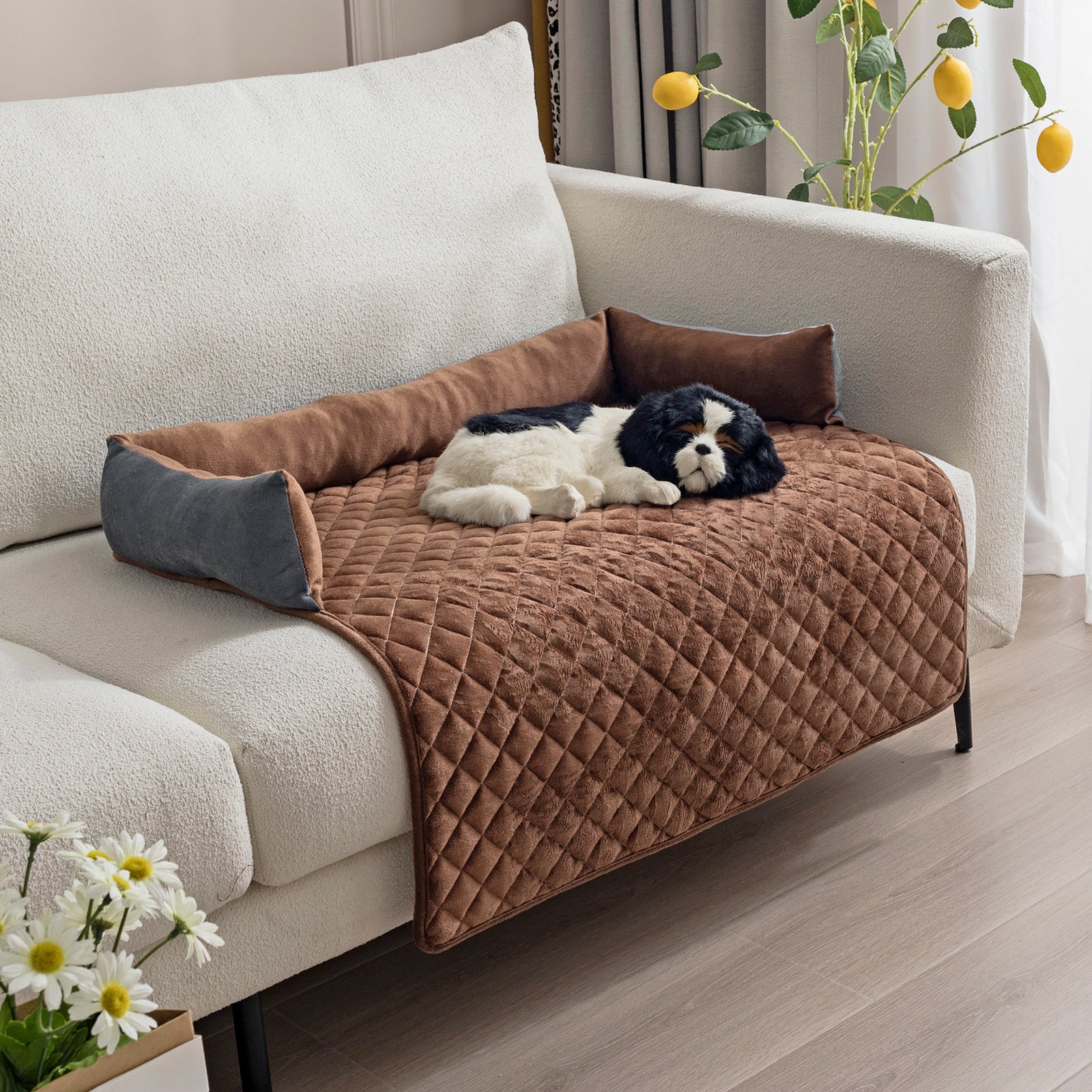 CozyPaws Pet Sofa Bed – Comfy for Dogs & Cats