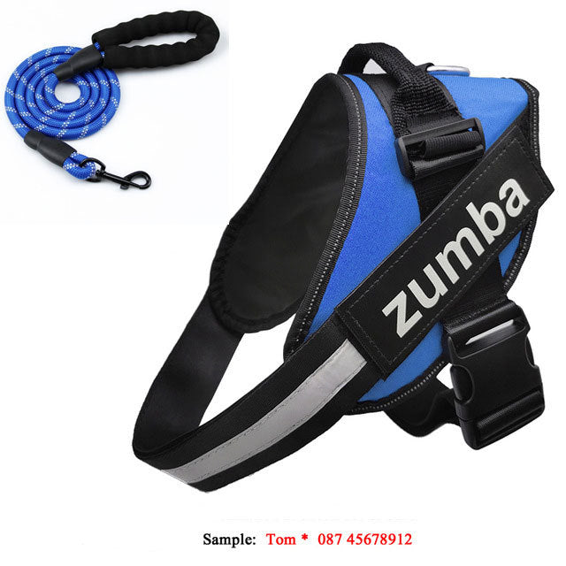 Personalized Breathable Dog Harness & Leash Combo