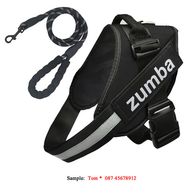 Personalized Breathable Dog Harness & Leash Combo