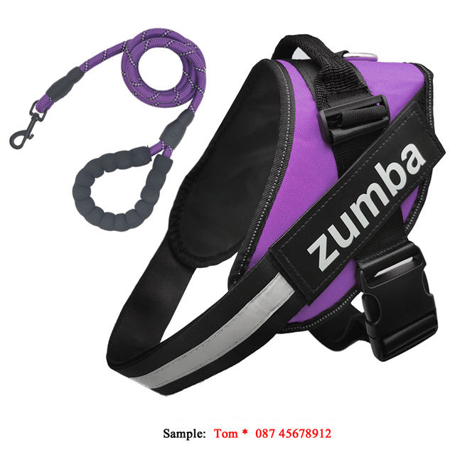 Personalized Breathable Dog Harness & Leash Combo