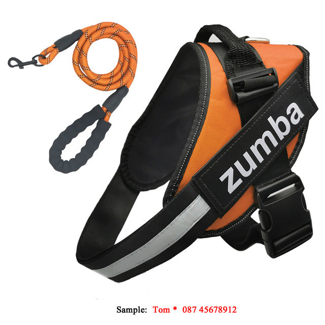 Personalized Breathable Dog Harness & Leash Combo