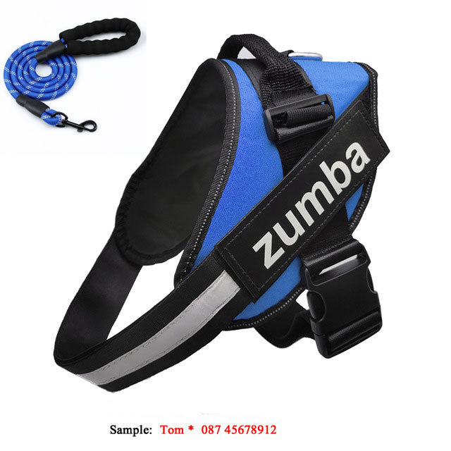 Personalized Breathable Dog Harness & Leash Combo