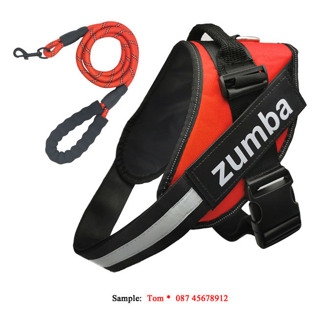 Personalized Breathable Dog Harness & Leash Combo
